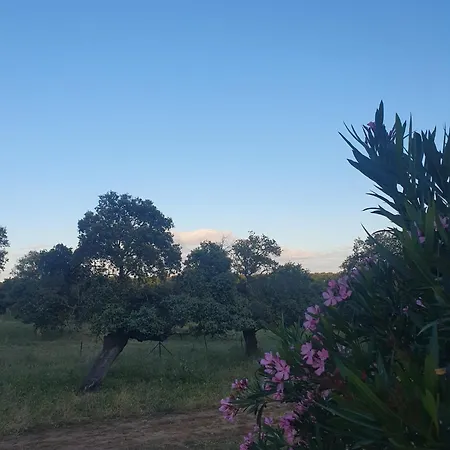 Rural El Vaqueril 2*