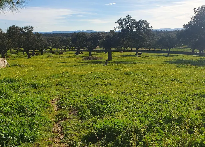 Hotel Rural El Vaqueril Navas del Madroño