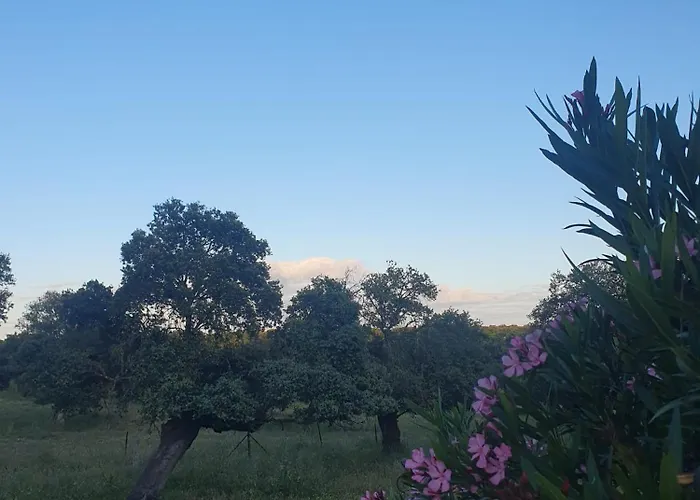 Rural El Vaqueril 2*